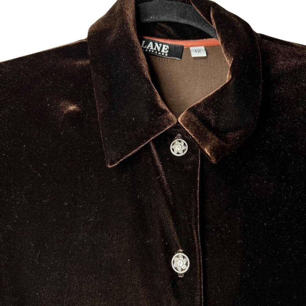 Vtg Misty Lane Brown Velvet Maxi Dress Goth Buttons Long Sleeves Sz 12 Darts USA - Picture 5 of 15
